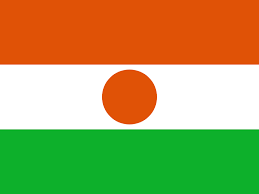 Country Review Report Republic of Niger