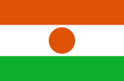 Country Review Report Republic of Niger Country Review Report Republic of Niger